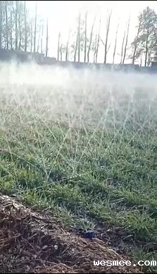 微喷带多长时间换