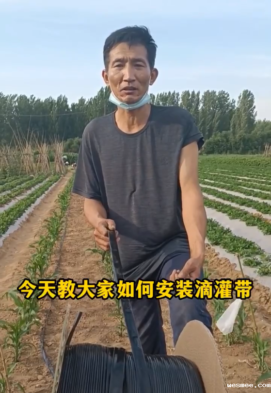 米兰电竞下载入口贴片滴灌带安装