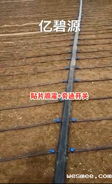 贴片滴灌以及旁通开关