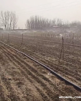 山东地插微喷销售