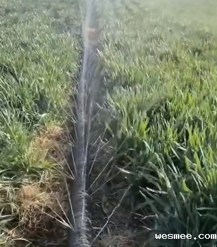 山东微喷带厂家