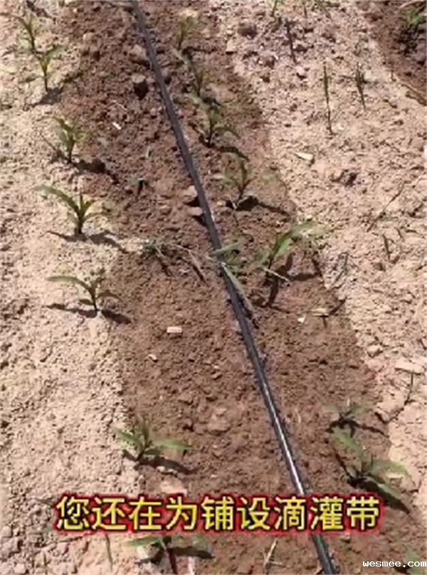 菏泽滴灌带连接